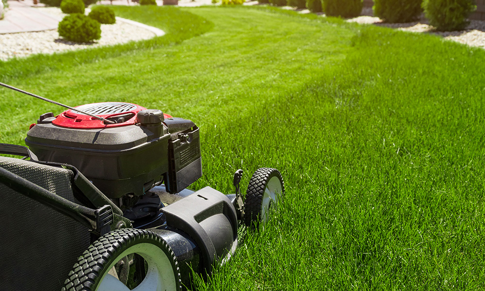 Grünpflege durch unsere Experten. Wir sorgen für einen gepflegten Garten